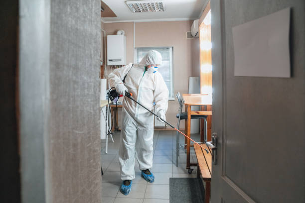  Escatawpa, MS Mold Removal Pros