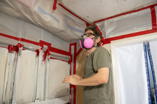 Best Asbestos and Lead Testing During Mold Inspection  in Escatawpa, MS